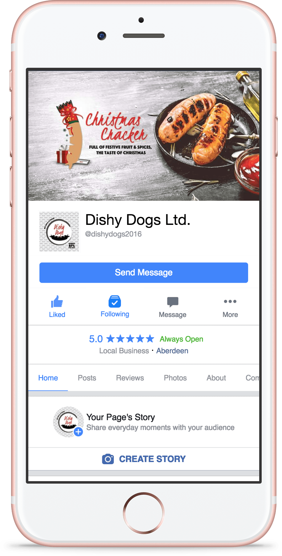 Dishy Dogs Branding Created By REASON Agency Aberdeen